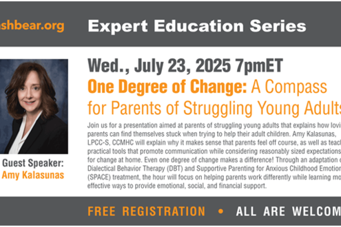 Topics related to emotion dysregulation and family skills.